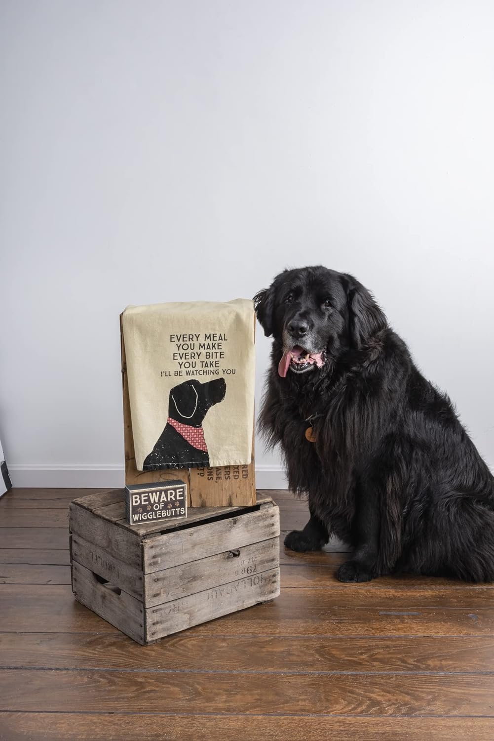 Primitives by Kathy Funny Kitchen Towel, Gifts for Dog Lovers, Bandana Dog Every Meal You Make I’ll Be Watching You, Machine Washable, 28 by 28 Inches,