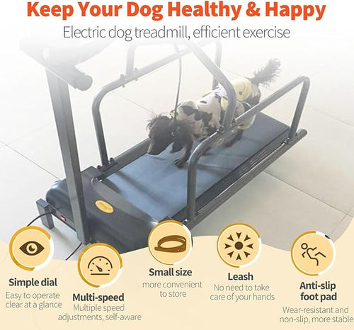 Dog Treadmill Indoor Pet Exercise Machine for Small, Medium & Large Dogs up to 176 lbs - Home Fitness with LCD Dis