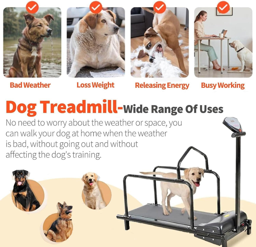 Dog Treadmill Indoor Pet Exercise Machine for Small, Medium & Large Dogs up to 176 lbs - Home Fitness with LCD Dis
