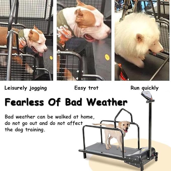 GenSDH Pet Treadmill for Dogs,Indoor Exercise Machine with LCD Display for Small to Large Breeds,Supports Healthy Weight and Energy Release
