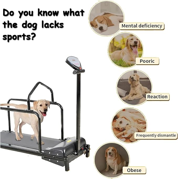 GenSDH Pet Treadmill for Dogs,Indoor Exercise Machine with LCD Display for Small to Large Breeds,Supports Healthy Weight and Energy Release