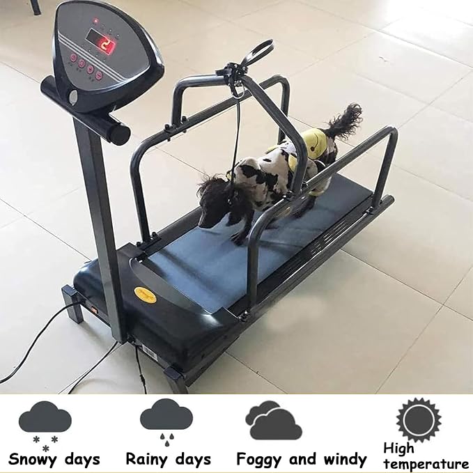 GenSDH Pet Treadmill for Dogs,Indoor Exercise Machine with LCD Display for Small to Large Breeds,Supports Healthy Weight and Energy Release